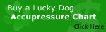 Dog Acupressure Chart Purchase